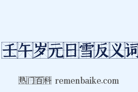 壬午岁元日雪反义词是什么意思的图片